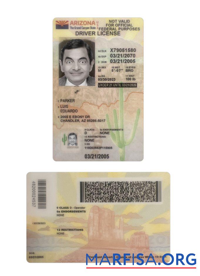 Printable USA Arizona under 21 driving license 2023 present download for verification